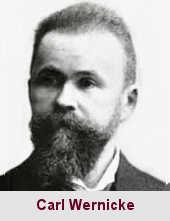 Carl Wernicke, neuropsychiatre (1848-1905).