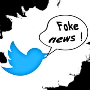 Les fake news tendent à envahir le web, notamment les réseaux sociaux. Twitter est l'un des plus touché.