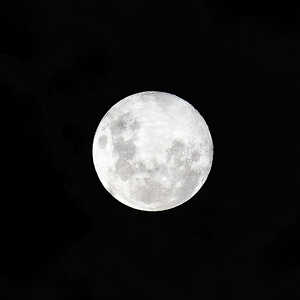 L'existence d'une horloge circalunaire chez l'humain semble très probable au regard de l'impact qu'a la peine lune sur notre sommeil.